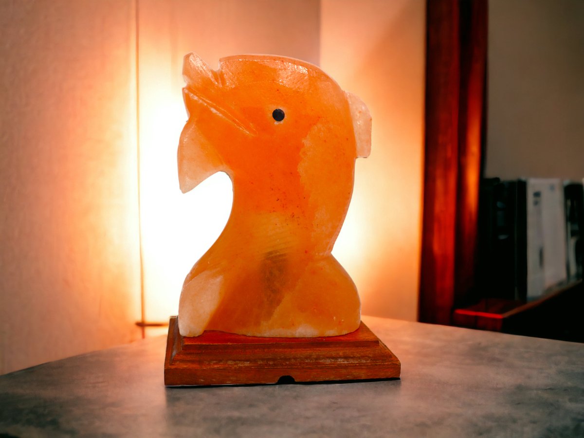 Handgemaakte Dolphin Sculptuur Himalaya Zoutlamp – 20 cm – 3 KG – Dimfunctie