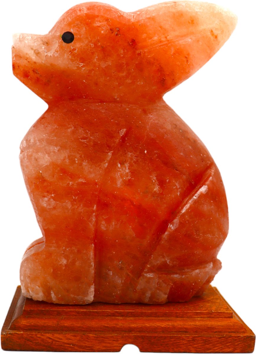 Himalaya Zoutlamp Konijn – 25 cm – 3–4 kg – Dimbaar
