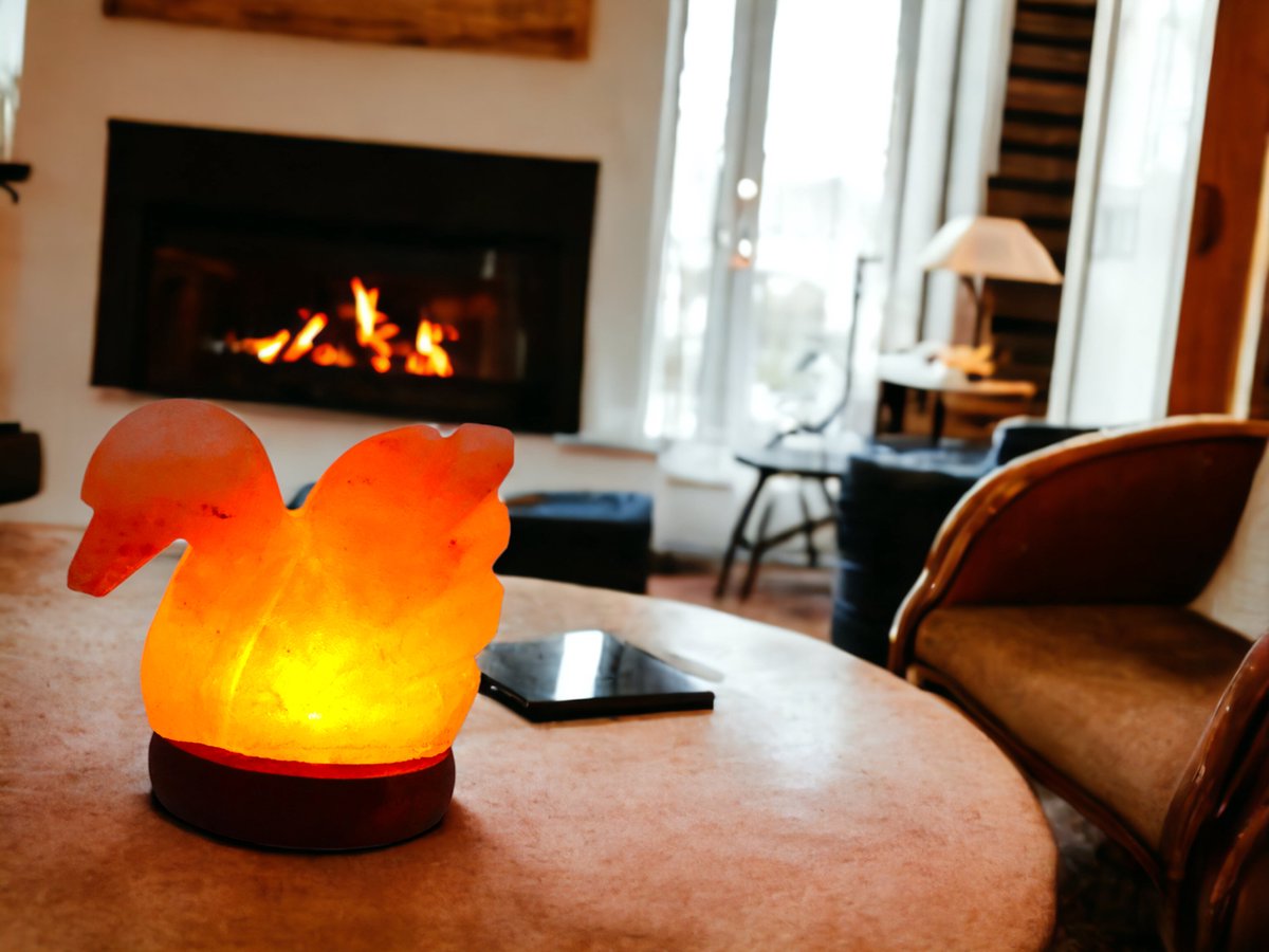 Kinderkamer zoutlamp in eendvorm