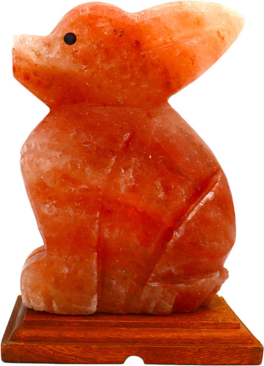 Himalaya Zoutlamp Konijn – 25 cm – 3–4 kg – Dimbaar