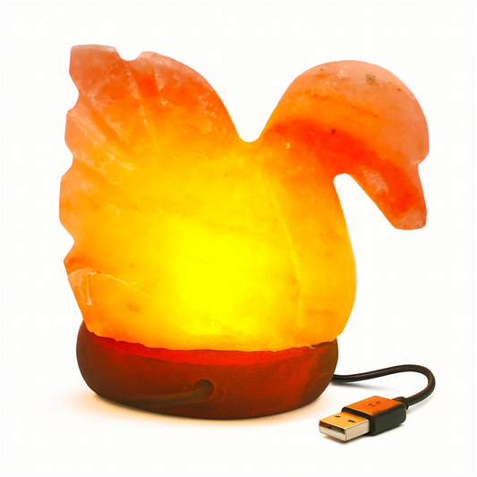 Himalaya Zoutlamp USB – Eend Vorm – 500g – Handgemaakt – LED Tafellamp