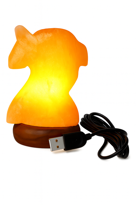 Himalaya Zoutlamp USB – Dolfijn Vorm – 8cm Hoog – Handgemaakt – LED Tafellamp 800g